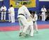 Area Discipline Orientali SETTORE KARATE