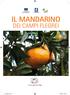 IL MANDARINO DEI CAMPI FLEGREI. il-mandarino.indd 1 26/11/15 10:42