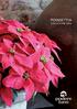 PoinsettiA CoLLeCtion 2016