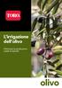 L irrigazione dell olivo. Ottimizza la produzione tutela la tipicità. olivo