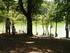 LO STATO DELLE FORESTE IN UMBRIA
