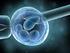 Prelievo di spermatozoi per la procreazione medicalmente assistita in pazienti affetti da azoospermia