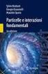 Introduzione: Concetti fondamentali della Fisica delle Particelle e Modello Standard