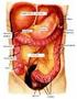 ANATOMIA E FISIOLOGIA DELLA PARETE ADDOMINALE. Dott. Francesco Di Marzo