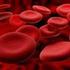 Disposizioni sull'importazione ed esportazione del sangue umano e dei suoi prodotti. (12A07181) (GU n. 147 del )