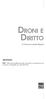 DRONI E DIRITTO. di Valentina Luisalba Filippini IMPORTANTE