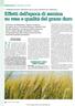 Effetti dell epoca di semina su resa e qualità del grano duro