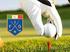 FEDERAZIONE ITALIANA GOLF