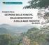 DIREZIONE REGIONALE FORESTE ED ECONOMIA MONTANA Servizio Forestale Regionale di Treviso
