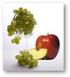 «Attività antiossidante di mele, uva e dei loro prodotti»