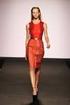 Red Dress Italia. la salute del cuore per la donna. conferenza stampa