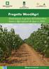 Progetto WoodAgri. Modernizzare la gestione dell arboricoltura lineare e degli impianti da legno ex RegioneLombardia COLTIVARE IL FUTURO