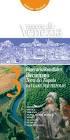 COMUNE DI DOLO *** PROVINCIA DI VENEZIA. Verbale di deliberazione del Consiglio Comunale n. 51 del