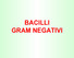 BACILLI GRAM NEGATIVI