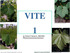 VITE 1. Fiorino P. Marone E., 20015/2016. Figure da: Fregoni, Viticoltura di qualità, Phytoline, Affi (VR), 2005