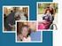 Caregiver Day Regionale Giornata del caregiver familiare Carpi, 24 e 25 maggio 2013