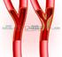Sistema circolatorio e flusso sanguigno