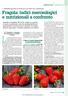 Fragola: indici merceologici e nutrizionali a confronto