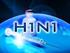INFLUENZA A H1N1 Tra Dubbi e Certezze Istruzioni per l Uso