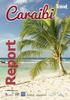 I mercati emissori MERCATO CROCIERE. RCI e Celebrity Cruises, Natale ai Caraibi