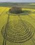 Crop Circles in Italia Le formazioni della stagione 2009