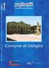 MAURIZIO GANDOLFO. iscritto all Albo al n 2329 per le categorie: Edilizia, Opere idrauliche, Opere stradali, Ponti e gallerie, Strutture in c.a.