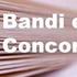 PRIMA SEZIONE BANDI DI CONCORSO