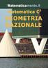 LE GEOMETRIE NON EUCLIDEE FRA CULTURA, STORIA E DIDATTICA DELLA MATEMATICA