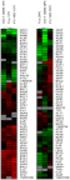 9 9a. 2a 12. Fig.2. Fig.1. Fig.3. Fig.4. Tris Aroma M0S M12