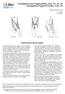 Imbragatura Liko HygieneSling, mod. 40, 45, 46 Imbragatura Hygiene Orsetto, mod. 46