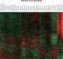 STEM-AMI OUTCOME. STem cells Mobilization in Acute Myocardial Infarction Outcome Trial. Elenco Centri RISONANZA MAGNETICA RISONANZA MAGNETICA