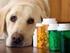 Prescrizioni medicinali veterinarie