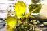Speciale previsioni produzione olio di oliva