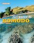 #VIAGGI SUB. Nel parco di KOMODO KOMODO. di Fabrizio Merlino