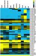 IDENTIFICATION AND CHARACTERIZATION OF NOVEL PLAYERS REGULATING PROTEIN QUALITY CONTROL AND DEGRADATION IN THE MAMMALIAN ENDOPLASMIC RETICULUM