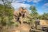 SUDAFRICA National Parks and Reserves