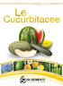 Catalogo Cucurbitacee