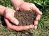 Compost e altre strategie utili per la sostanza organica del suolo. L esperienza di Acea Pinerolese