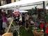 A Borghetto è tutto pronto per la 4^ edizione di Floricola, mostra mercato dedicata alle piante