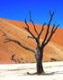 NAMIBIA NAMIBIA. Tour di 16 giorni