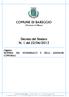 COMUNE DI BAREGGIO (Provincia di Milano) Decreto del Sindaco N. 1 del 22/06/2013