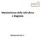 Metabolismo della bilirubina e diagnosi.