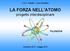 LA FORZA NELL ATOMO progetto interdisciplinare