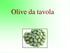 L oliva è una drupa, frutto della pianta Olea europaea