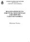 REALIZZAZIONE DI UNA STRUTTURA MONUMENTALE A RICORDO DEI CADUTI DI NASSIRYA. Relazione Tecnica