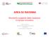 AREA S3 RAVENNA. Sottotitolo. Strumenti a supporto della creazione d impresa innovativa