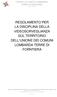 REGOLAMENTO PER LA DISCIPLINA DELLA VIDEOSORVEGLIANZA SUL TERRITORIO DELL UNIONE DEI COMUNI LOMBARDA TERRE DI FORNTIERA