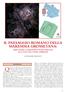 Quando nel 2003 due guardie del Parco IL PAESAGGIO ROMANO DELLA MAREMMA GROSSETANA: AREE SACRE E INFRASTRUTTURE PORTUALI ALLA FOCE DEL FIUME OMBRONE