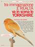 tra immaginazione E REALTÀ va in scena lo YORKSHIRE