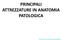 PRINCIPALI ATTREZZATURE IN ANATOMIA PATOLOGICA. Tecniche di Anatomia Patologica Dott. Giorgio Bettarelli